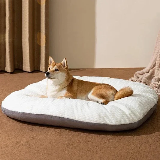 Thick Orthopedic Dog Bed alternate view