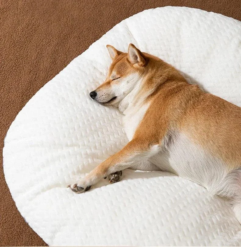 Thick Orthopedic Dog Bed 3