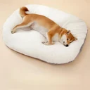 Thick Orthopedic Dog Bed