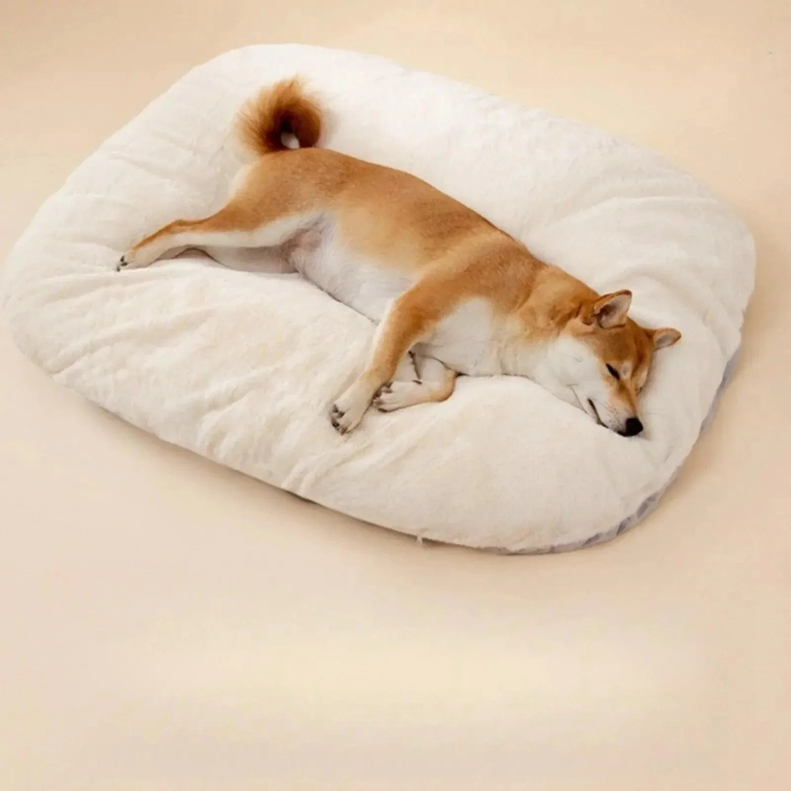 Thick Orthopedic Dog Bed 9
