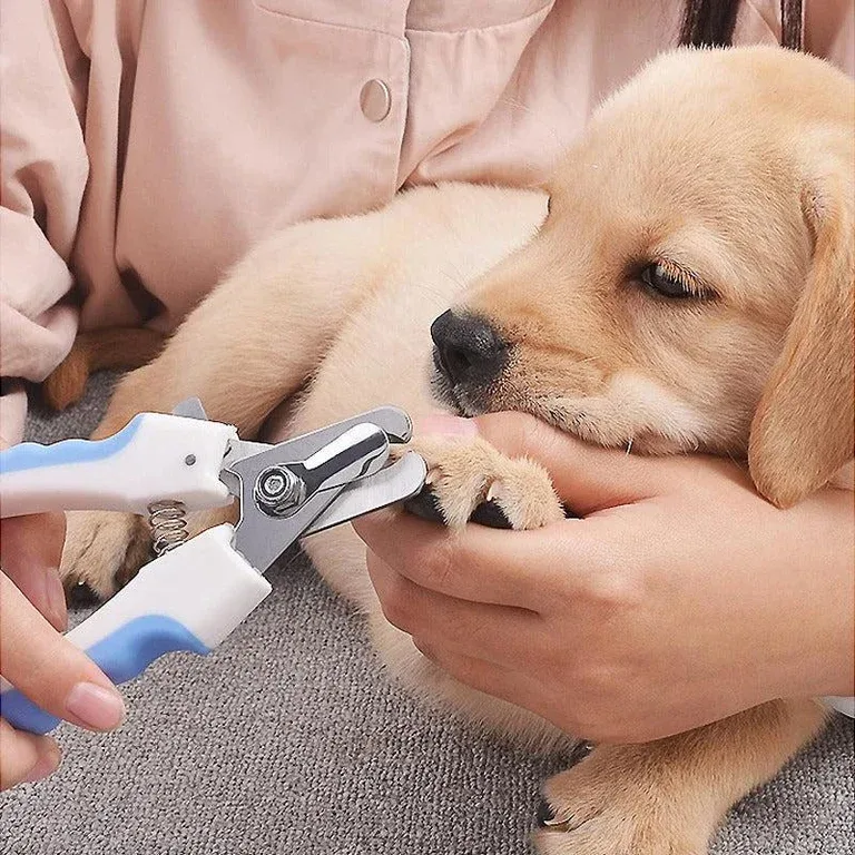 Toe Nail Clipper for Dogs