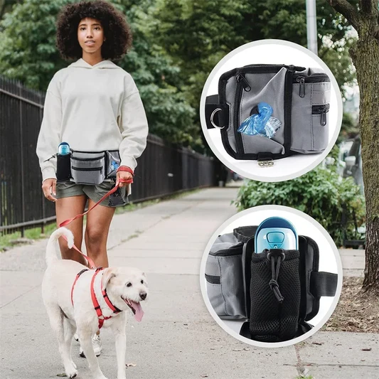 Training Multi-functional Dog Snack Bag