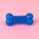 Ultra-Tough Squeaky Bone for Heavy Chewers