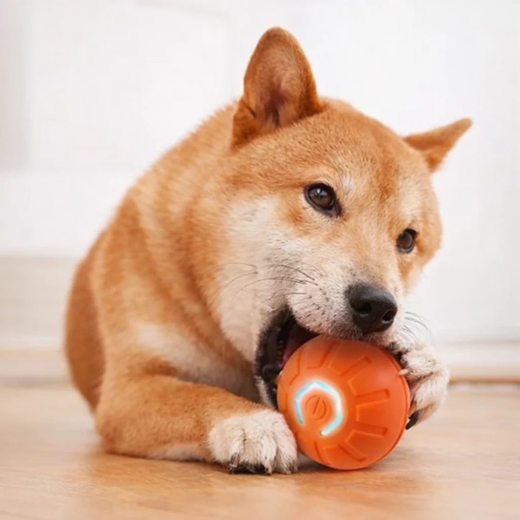 USB Automatic Moving Dog Ball 3