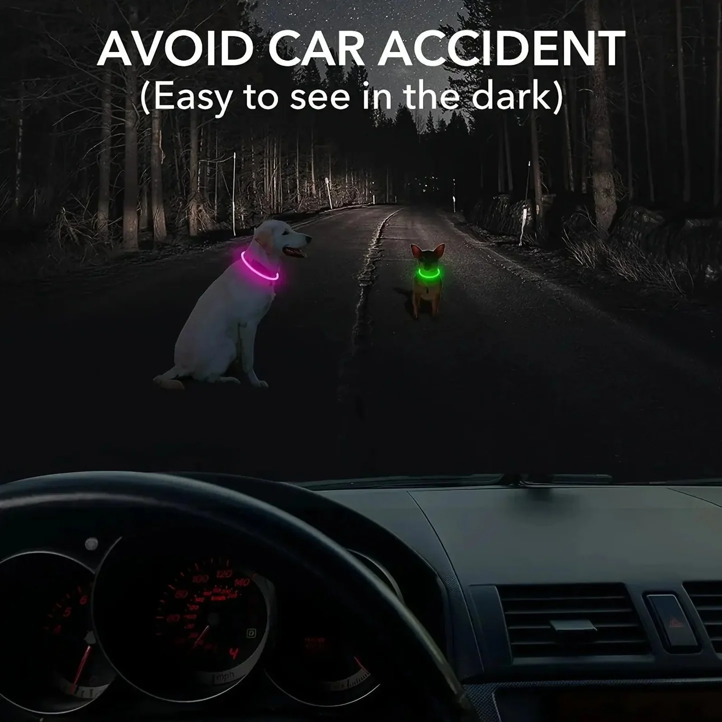 USB Rechargeable LED Dog Collar – Adjustable Glow & Cut-to-Fit