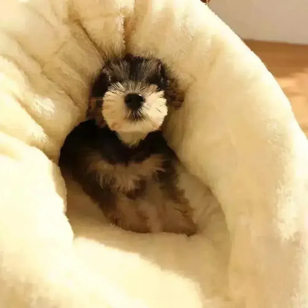 Washable Cotton Dog Cave Bed In Slipper Nest Design 2