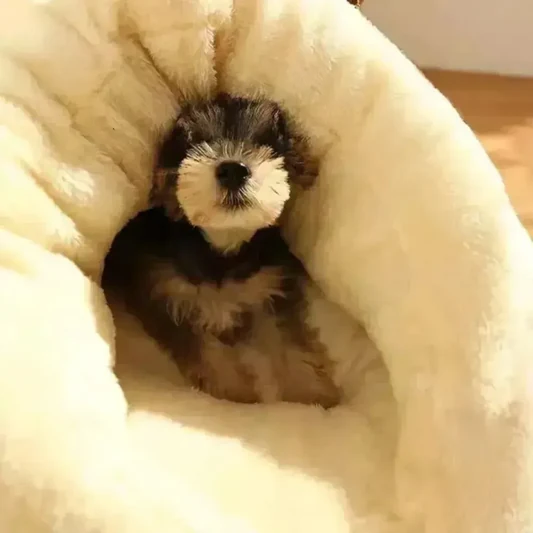 Washable Cotton Dog Cave Bed In Slipper Nest Design alternate view