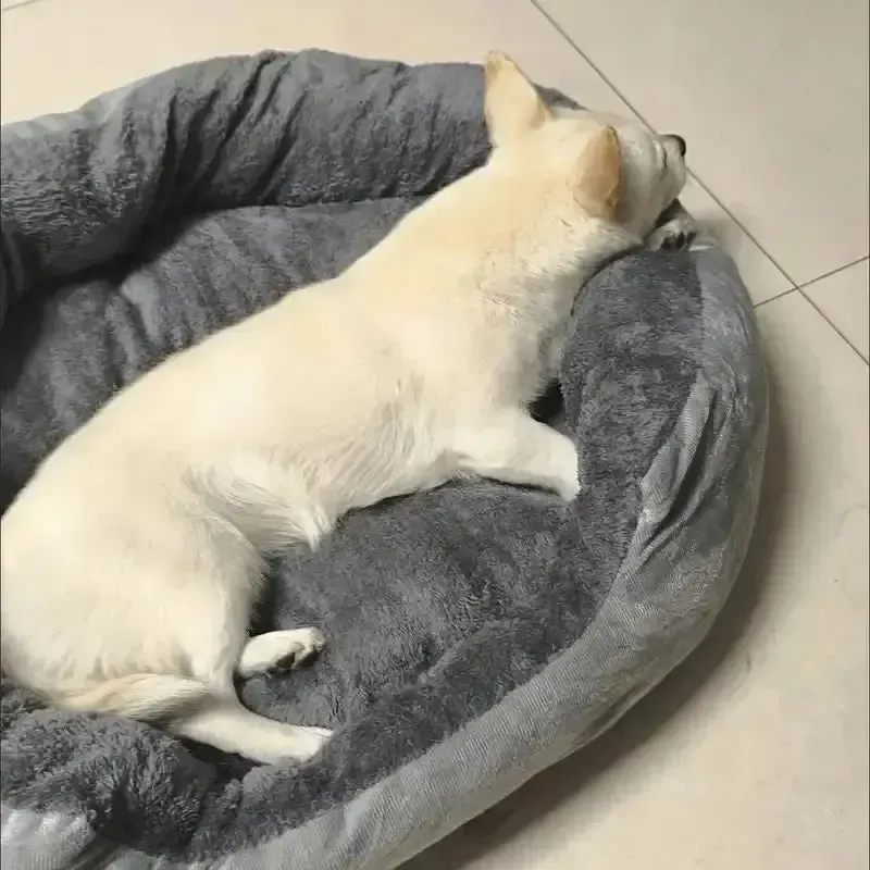 Washable Cotton Dog Donut Bed 5