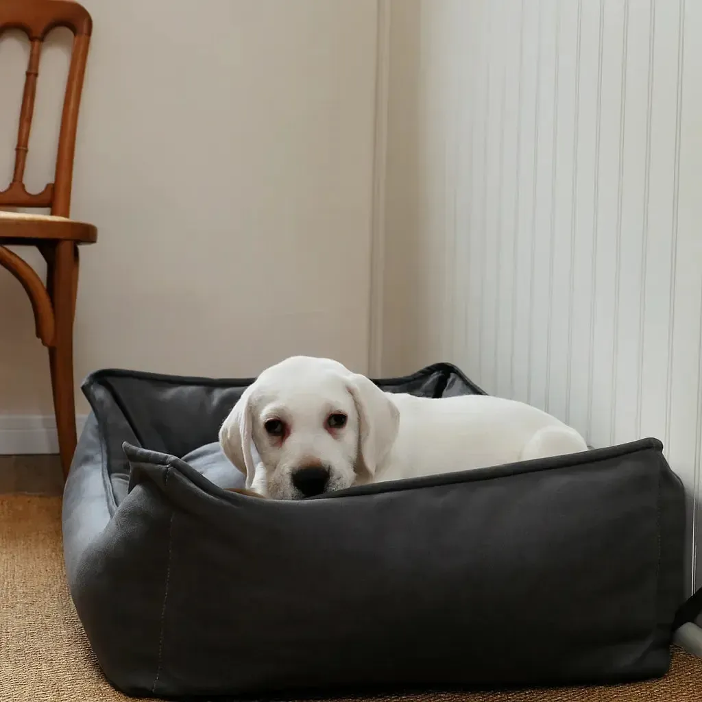 Waterproof Washable Orthopedic Dog Sofa Bed With Bolsters 3