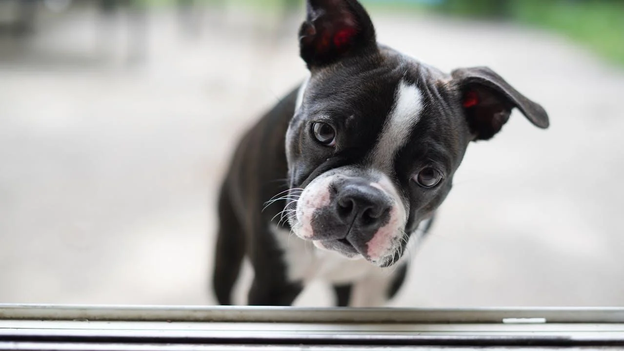 What Toys Are Best for Rainy Days Indoors?