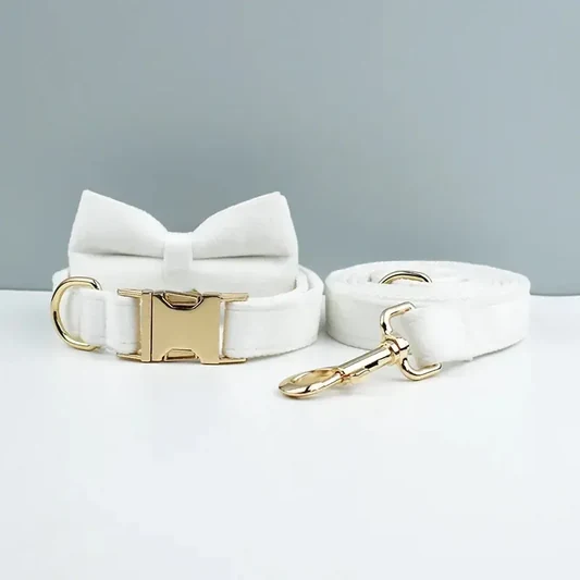 White Velvet Dog Collar alternate view