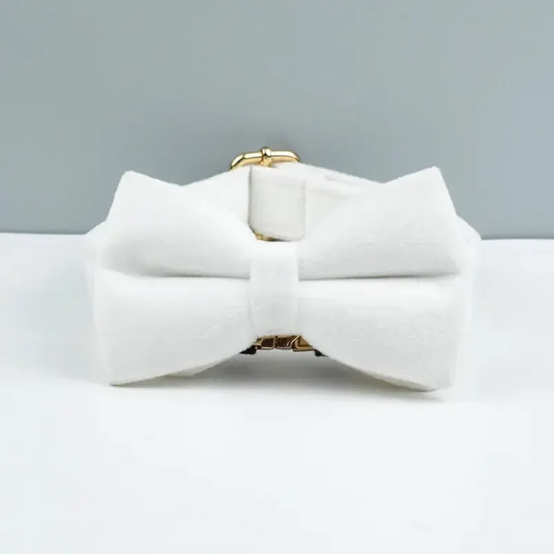 White Velvet Dog Collar 3
