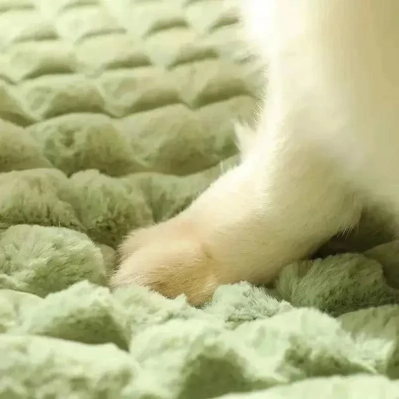 Winter Orthopedic Dog Bed 3
