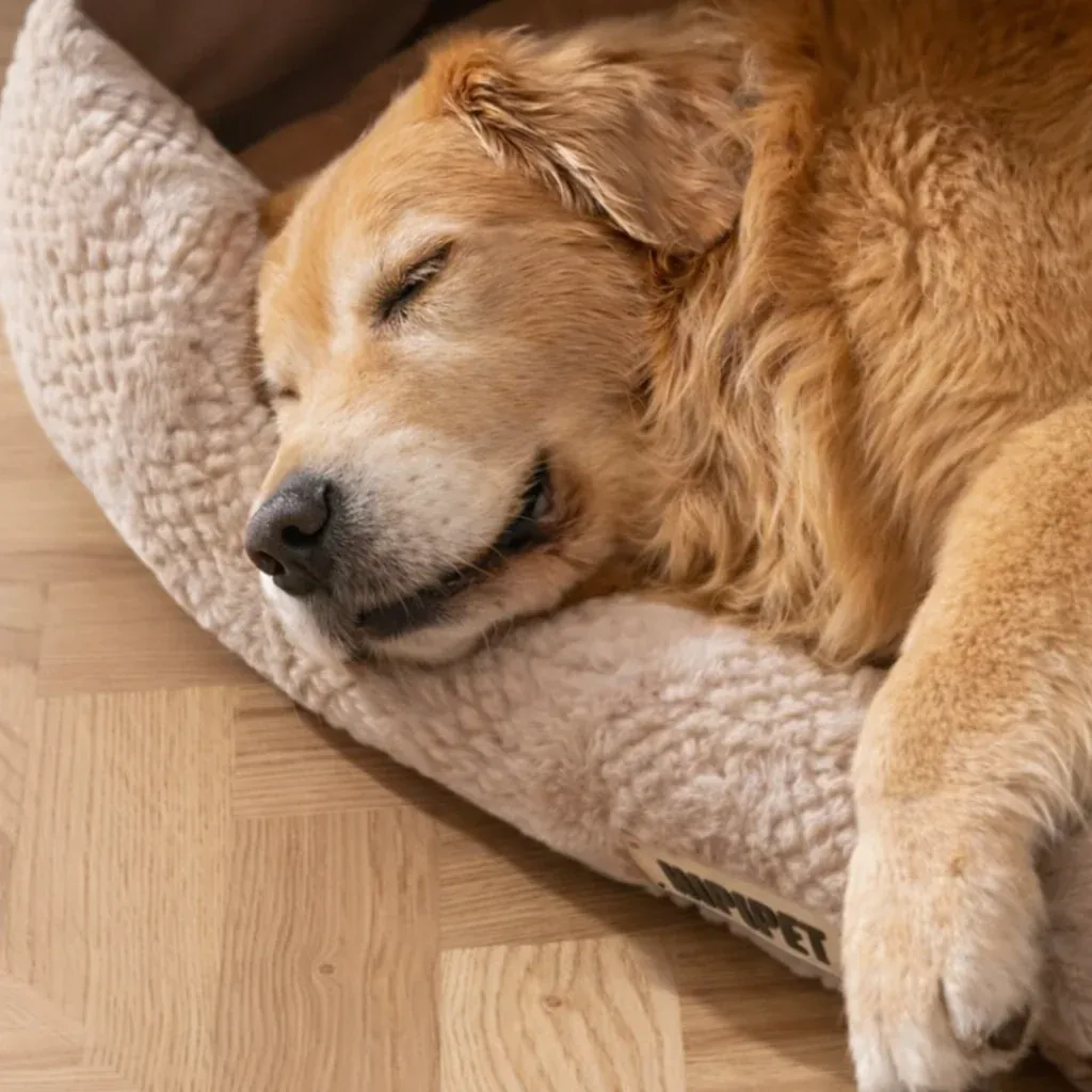 Winter Warm Semi-Enclosed Dog Bed 3