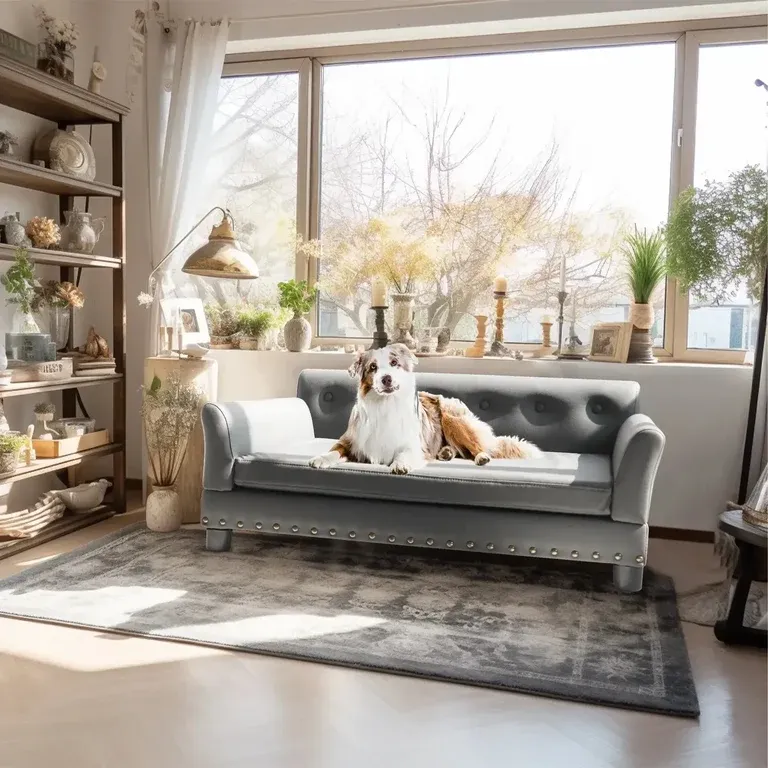 XL Luxury Orthopedic Dog Sofa Bed | Waterproof & Raised Wood Frame alternate view