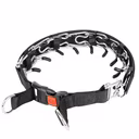 No-Pull Pinch Dog Collar