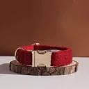Red Teddy Fleece Dog Collar