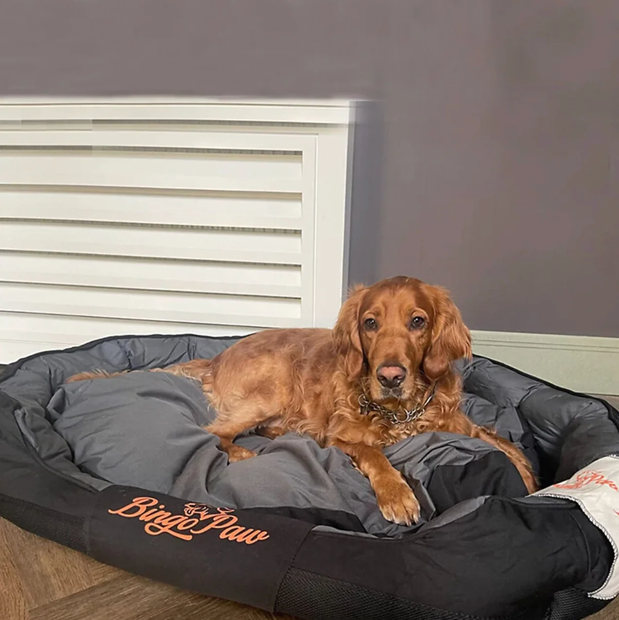 XXL Heavy Duty Orthopedic Dog Bed | Washable 6